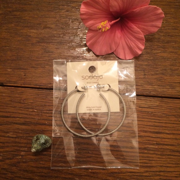 Sodajo Brass Jewelry Diamond-Cut Hoop Earrings - Picture 1 of 5